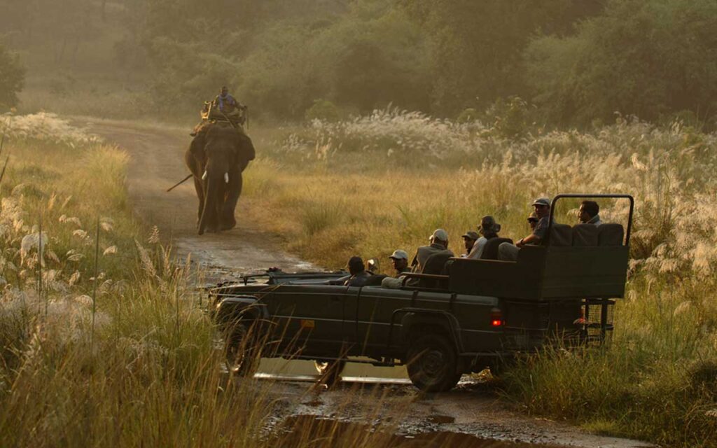 Bandhavgarh Safari Package