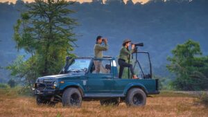 Pench Tiger Reserve Package
