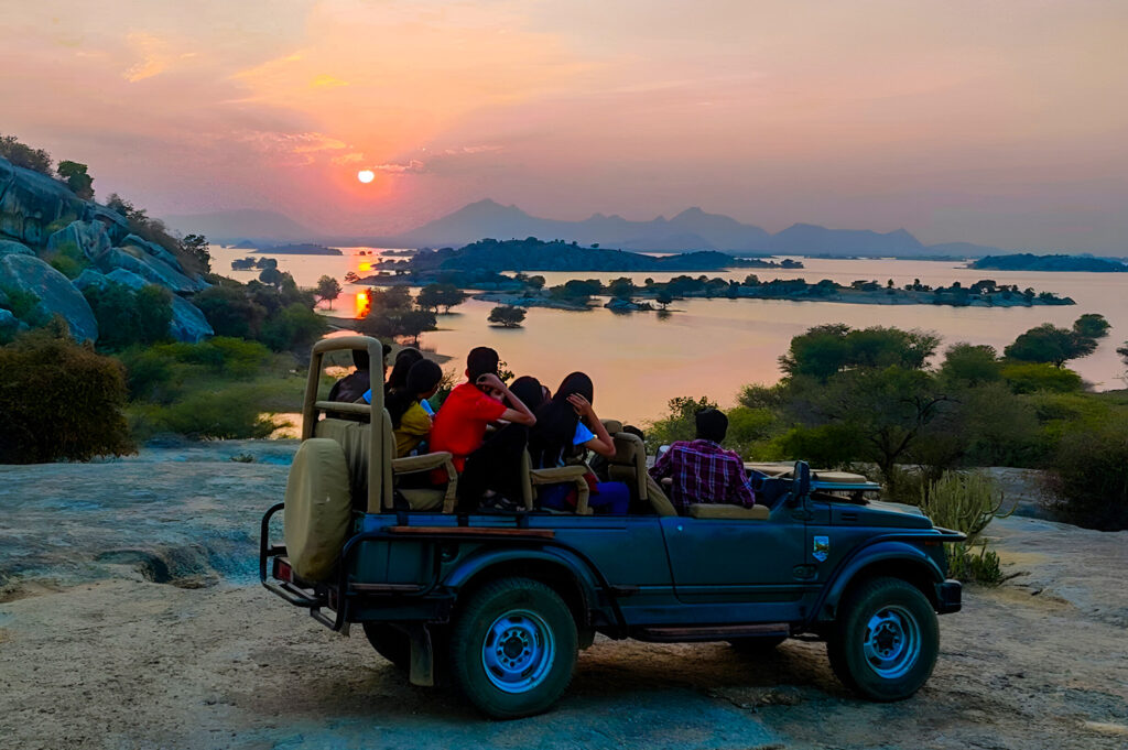 Jawai Bandh Leopard Safari India