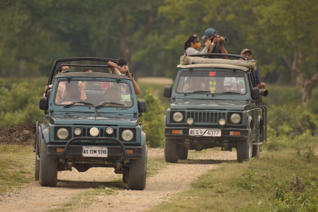 Tiger Safari Package