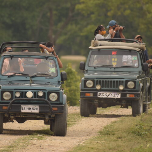 Tiger Safari Package