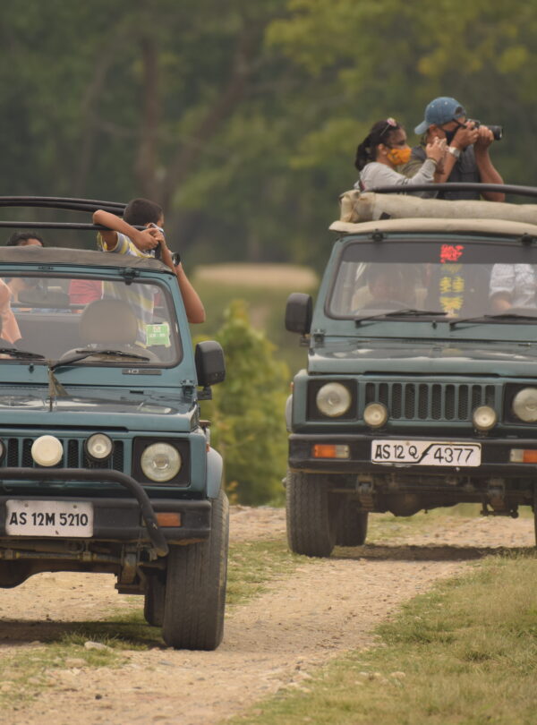 Tiger Safari Package
