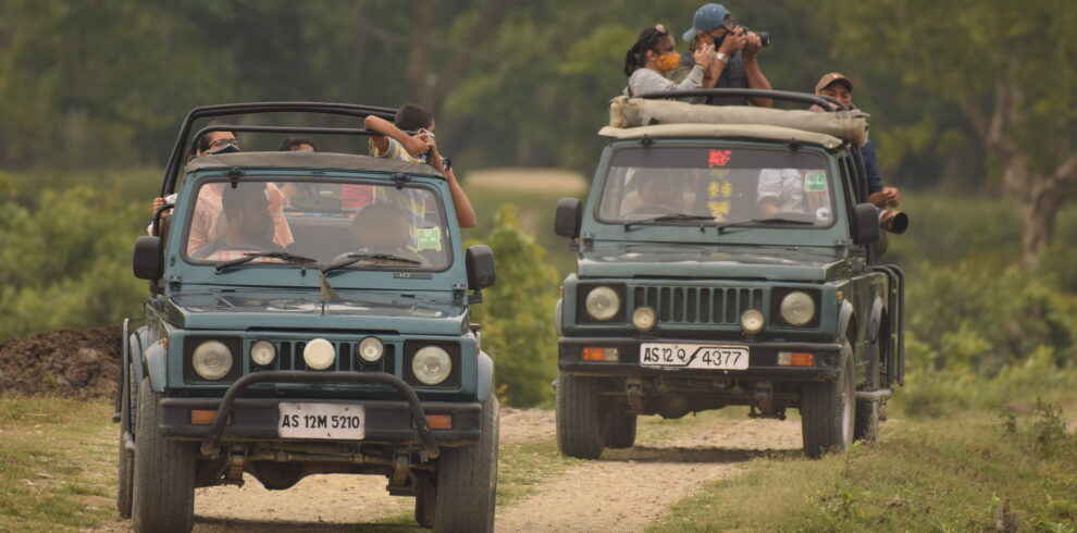 Tiger Safari Package