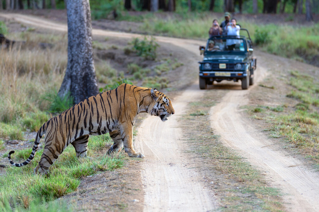 kanha national park