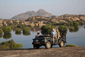 Jawai Bandh Leopard Safari India