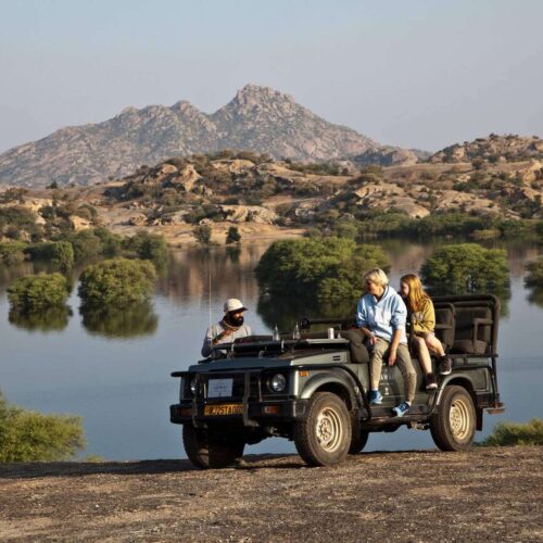 Jawai Bandh Leopard Safari India