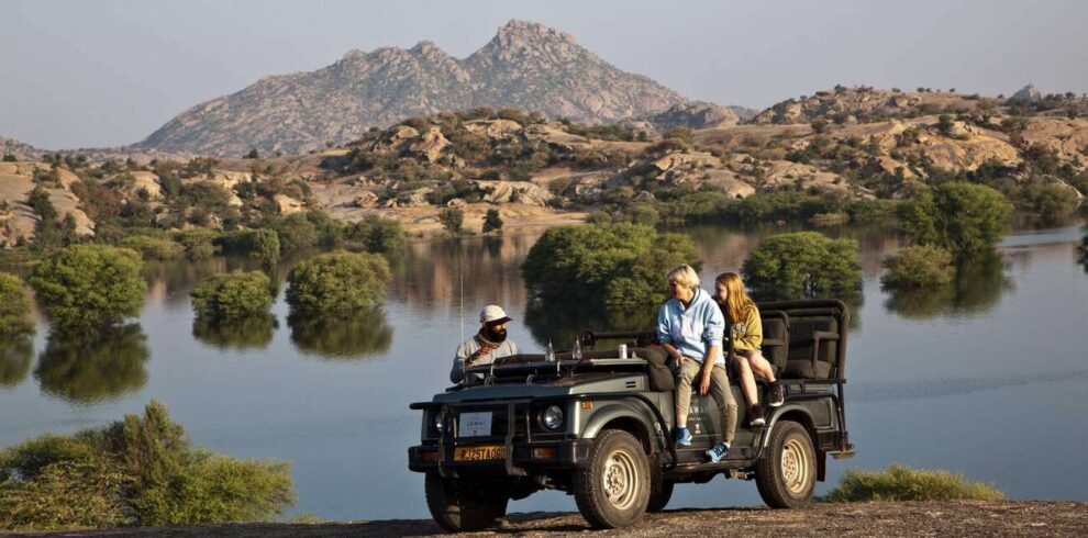 Jawai Bandh Leopard Safari India