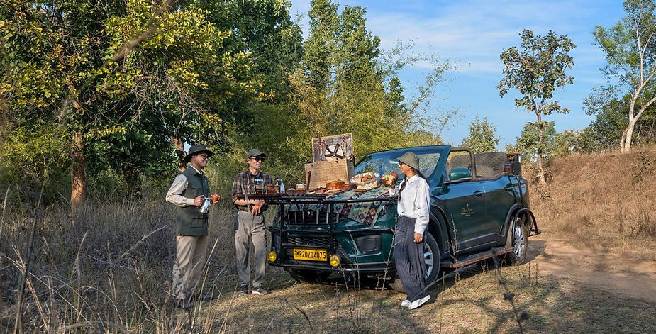 Oberoi Bandhavgarh