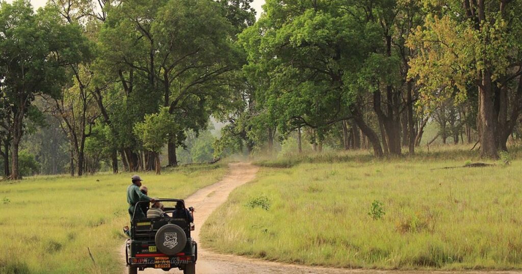 Tiger Safari Package