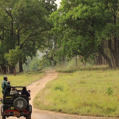 Tiger Safari Package