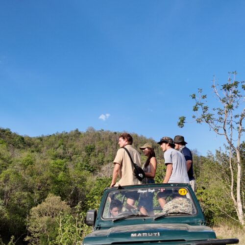 Vanraj Safaris Best Travel Company