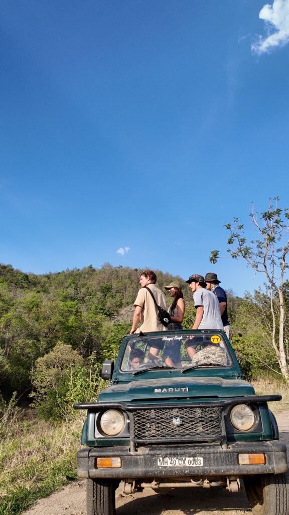 Vanraj Safaris Best Travel Company