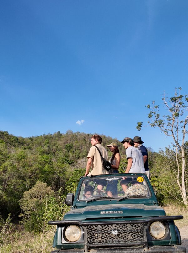 Vanraj Safaris Best Travel Company