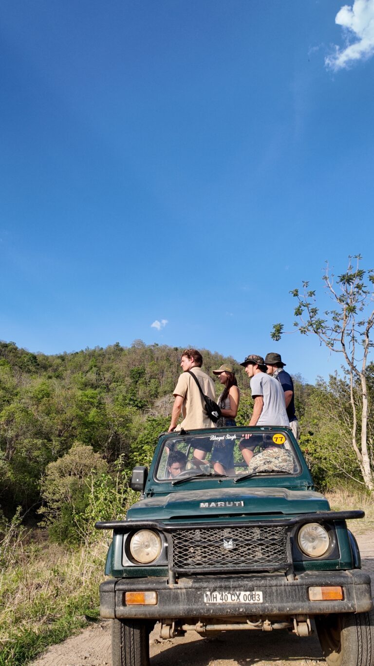 Vanraj Safaris Best Travel Company