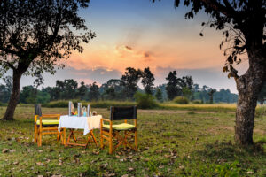 Vanraj Safaris