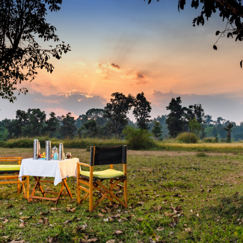 Vanraj Safaris