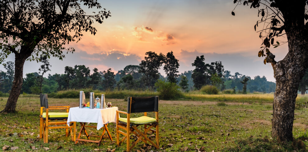 Vanraj Safaris