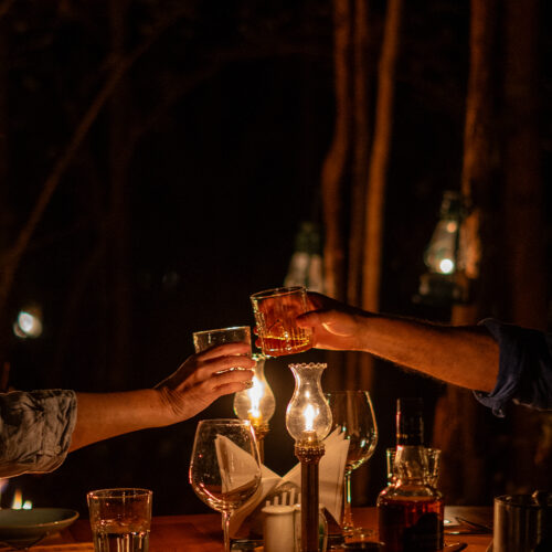 Ranthambore National Park Luxury Package
