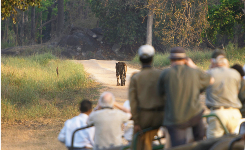 Banadhavgarh Guide
