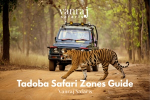 Tadoba Safari Zones Guide