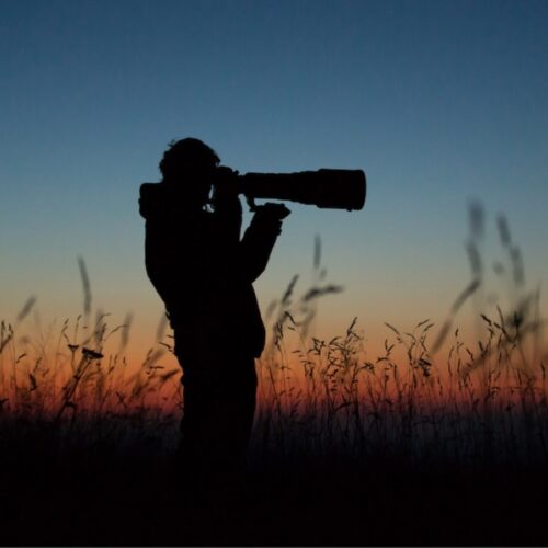 Wildlife Photography Package India