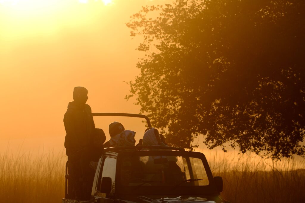 Satpura Tiger Reserve Luxury Package (3N/4D) | Vanraj Safaris
