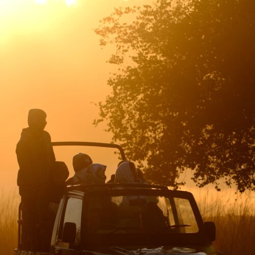Satpura Tiger Reserve Luxury Package (3N/4D) | Vanraj Safaris