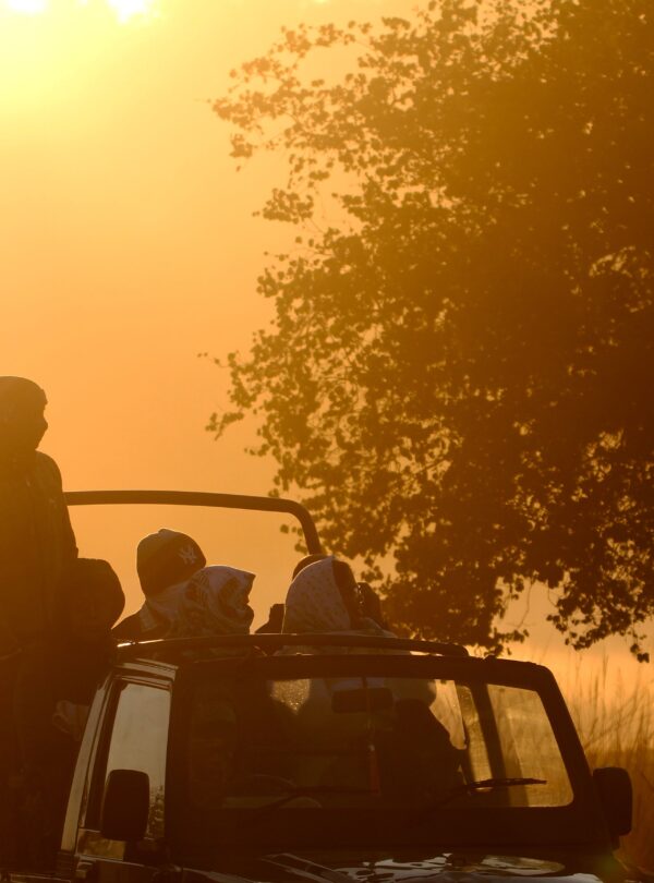 Satpura Tiger Reserve Luxury Package (3N/4D) | Vanraj Safaris