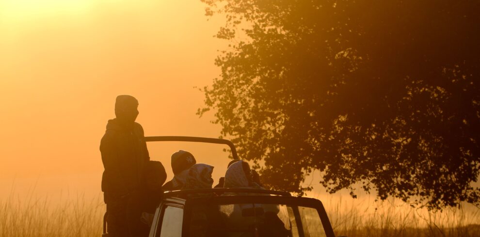 Satpura Tiger Reserve Luxury Package (3N/4D) | Vanraj Safaris